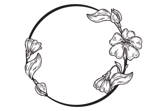 Download Herbal Frame. Floral Circle. Hand Darwn - Herbal Collection