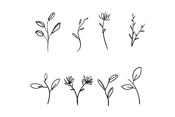 Download Doodle Herbal and Flourish Set - Herbal Collection